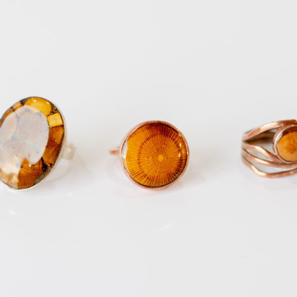 Conjunto de anillos en madera nativa